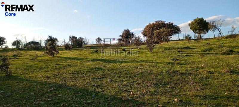 Foto 4bea6191-91be-46b3-a624-4d2dd9f27fd9. Finca rústica a Carretera de Sevilla - Los Montitos Badajoz