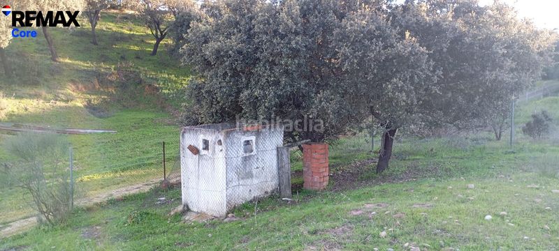Foto c79c513f-d45e-4fc8-8494-e73df2421a5d. Finca rústica a Carretera de Sevilla - Los Montitos Badajoz