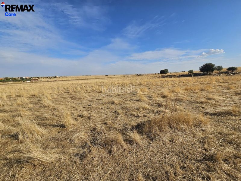 Foto aea3c70b-1641-476f-b8b7-f05c27c58aaa. Finca rústica a Sierra de Fuentes