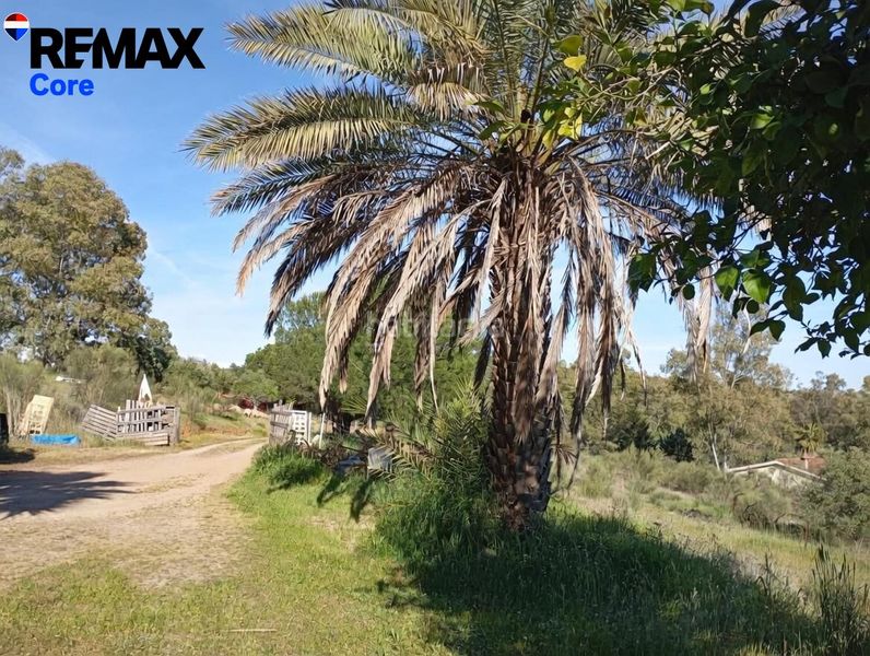 Foto ba32a837-687a-4716-8349-2fbb5e0480c8. Casa finca rústica a 10 minutos el refugio perfecto en Cáceres