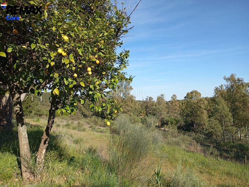 Foto dcefaa0e-5391-4cfd-aa7f-71f09312a73b. Casa finca rústica a 10 minutos el refugio perfecto en Cáceres