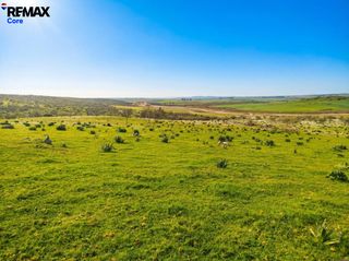 Fondo rustico in Zorita. Finca ganadera en venta oportunidad de inversión