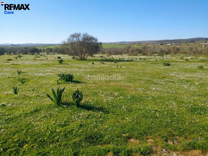 Foto 7c1a81f9-d7b3-42a2-becd-c34bea862e11. Finca rústica a Zorita