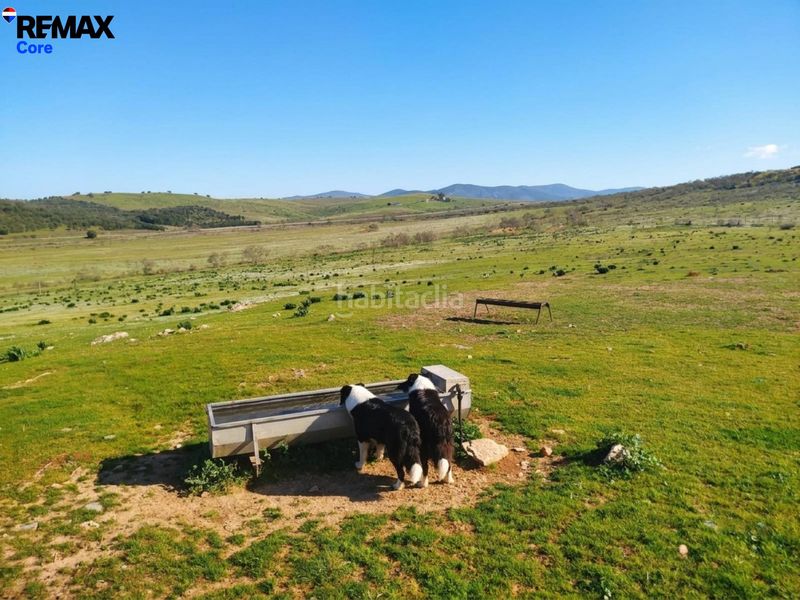 Foto 8c6e92f8-cd46-464d-839e-d165e6b9f53c. Finca rústica a Zorita
