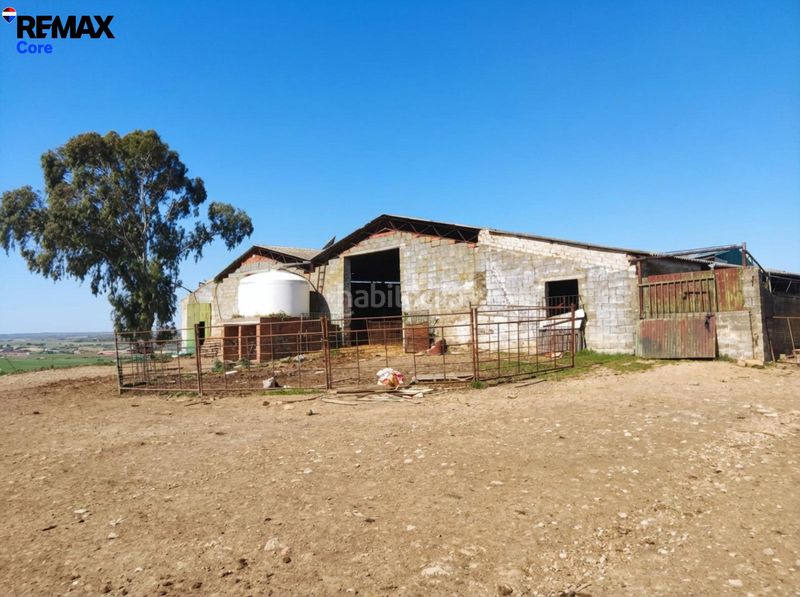 Foto 9306df2c-0a76-44de-9e31-0a59bb5e03e6. Finca rústica a Zorita