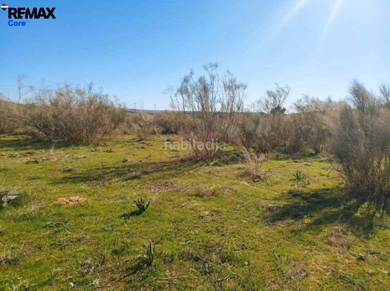 Foto e882af7b-8430-4c0e-8361-ac9a5fe9b88b. Finca rústica a Zorita