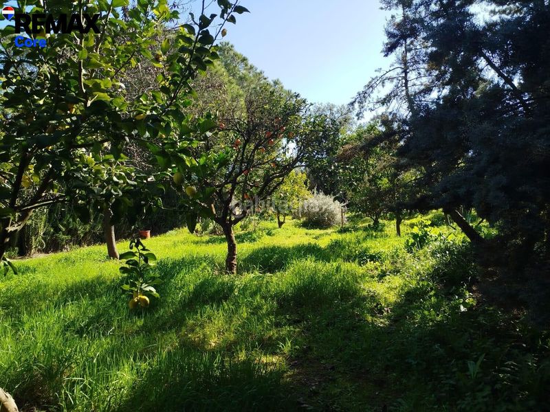 Foto 0587d6e6-680c-40a9-9444-6e6dd083be6d. Xalet amb aparcament piscina a Las Vaguadas Badajoz