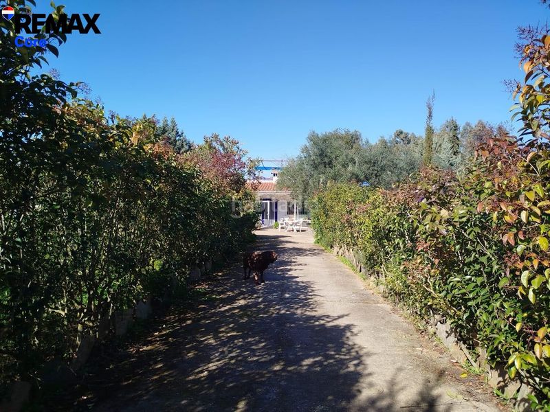 Foto 1c7c93ef-4e2d-4c5c-9876-c92cc52bf442. Xalet amb aparcament piscina a Las Vaguadas Badajoz