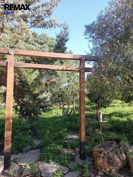 Foto 6c42cc99-d4d5-4fe2-8cf8-27a3754b4008. Xalet amb aparcament piscina a Las Vaguadas Badajoz