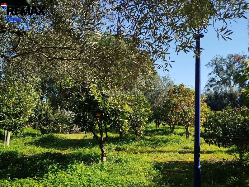 Foto befc837e-f271-4b52-9046-c5fe1c129cf3. Xalet amb aparcament piscina a Las Vaguadas Badajoz