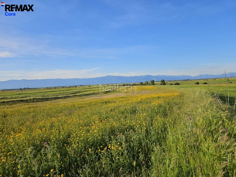 Foto 41b30adc-2a5d-46fc-9218-6c4028d6d3ff. Finca rústica a Calzada de Oropesa