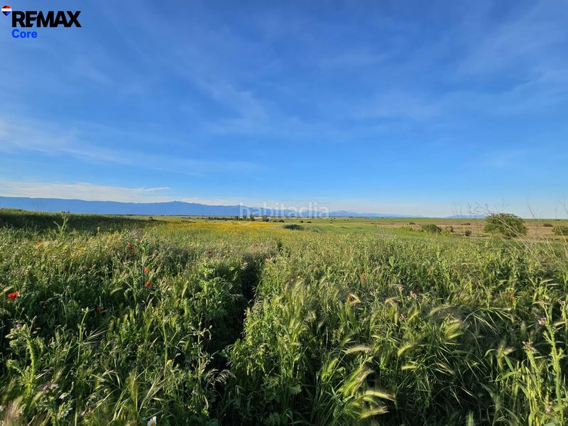 Foto 5e610470-ad25-4506-8d43-9706c2420641. Finca rústica a Calzada de Oropesa