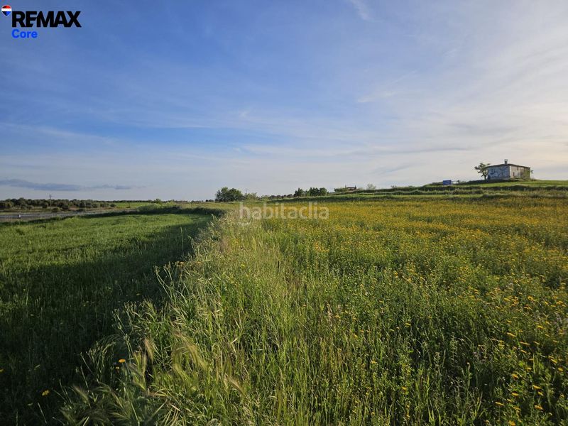 Foto 9d2f8e93-cfba-4c74-9c0e-88024dbc9e45. Finca rústica a Calzada de Oropesa