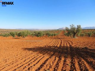 Rural plot in Zarza (La). Espectacular finca de 120 ha en tierra de barros máxima rentabil