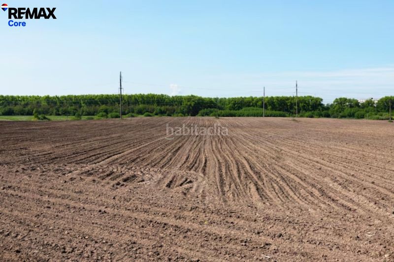 Foto 65cd5214-75a1-402a-951e-c3551e53a662. Finca rústica a Oeste Mérida
