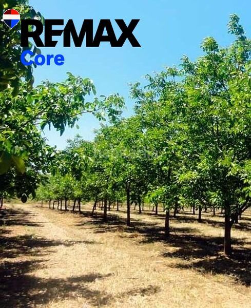 Foto 0721dd1c-a828-4b99-ad93-8348c09bd38c. Finca rústica a Talavera la Real