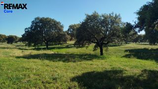 Finca rústica a Codosera (La). Excelente finca mixta lista para explotación inmediata en alburq
