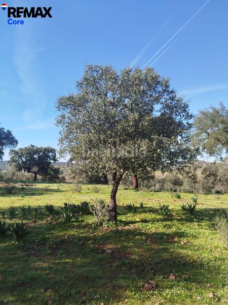 Foto 4ddc4a8b-6912-49cf-8562-472658b3d7a7. Propriété dans Codosera (La)