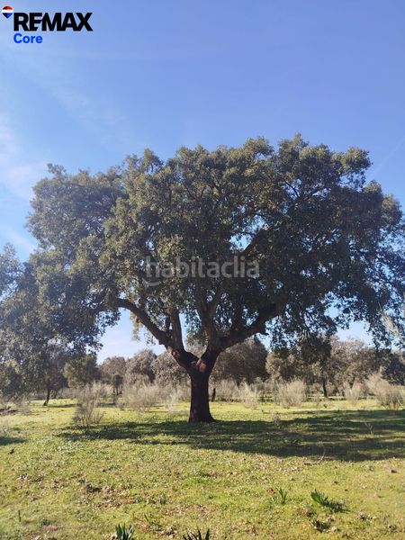 Foto 5577b373-3ec2-4be6-8d2a-0ff5a923a7b7. Propriété dans Codosera (La)