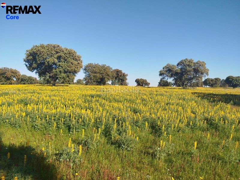 Foto 6bb11467-f5a3-4b76-a93f-ed052413ad66. Propriété dans Codosera (La)