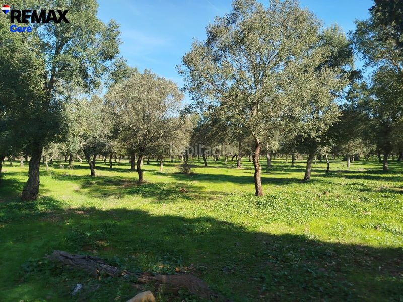 Foto da59123a-8235-4420-a903-462458dad3f7. Propriété dans Codosera (La)