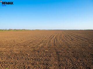 Finca rústica a Golf Guadiana. Finca en producción de 22 hectáreas, agua abundante y luz de red