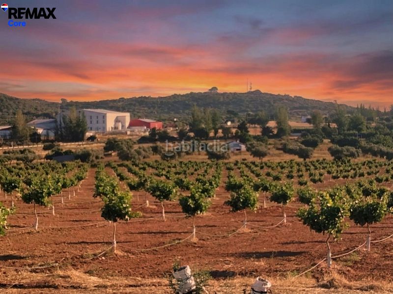Foto 8b5ff18e-bf30-4deb-b089-b5675cad9d71. Finca rústica a Higuera la Real