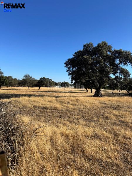 Foto 951d1a5d-4601-45a9-b202-36e5ae0e04c0. Finca rústica a pedanías de Badajoz Badajoz