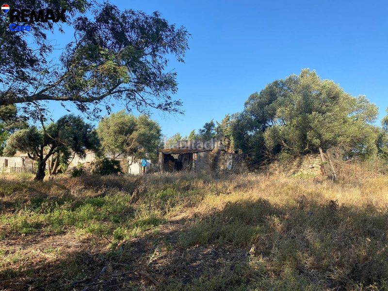 Foto 1b8f3a45-df18-4b03-a8fc-63df4e8dd3fa. Finca rústica a Medina Sidonia