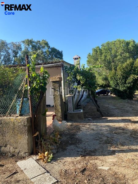 Foto 4ae4e313-b230-41bd-bfa1-a3b87a77dbd2. Finca rústica a Medina Sidonia