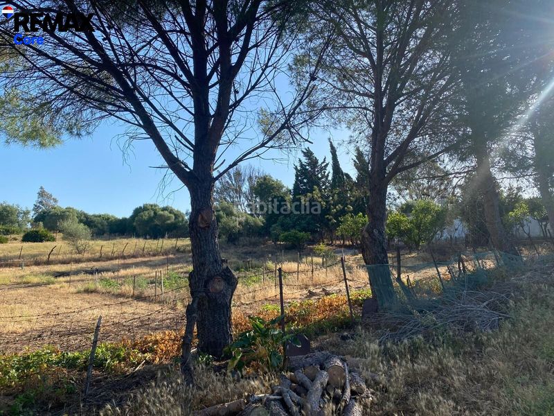 Foto 669a37a2-efff-474c-afd5-ea825fd125a6. Finca rústica a Medina Sidonia
