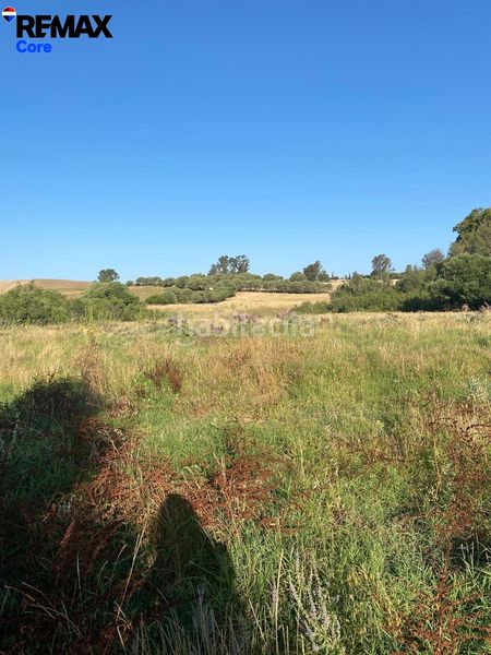 Foto 75a67aad-398b-4361-b125-d547223200be. Finca rústica a Medina Sidonia