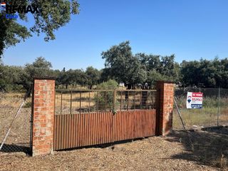 Rural plot in Las Vaguadas. Amplio terreno rústico en badajoz  oportunidad única