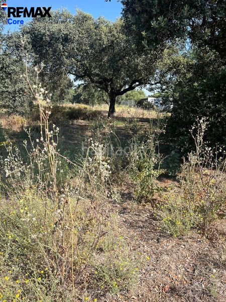 Foto 4f127193-608b-4b44-b373-3dd1597d9e71. Finca rústica a Las Vaguadas Badajoz