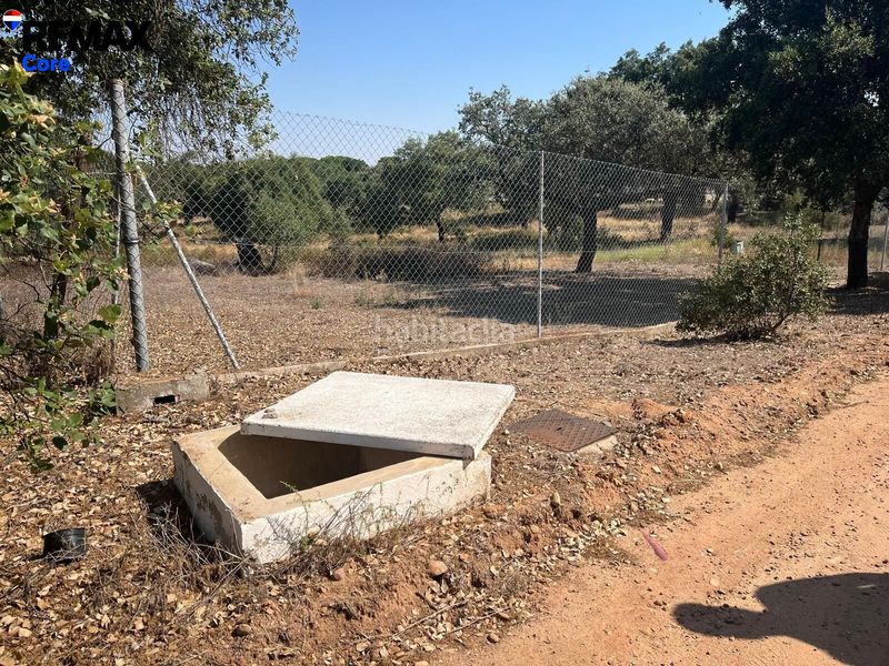 Foto 69f4ee63-3911-401d-8597-615f8821533c. Finca rústica a Las Vaguadas Badajoz