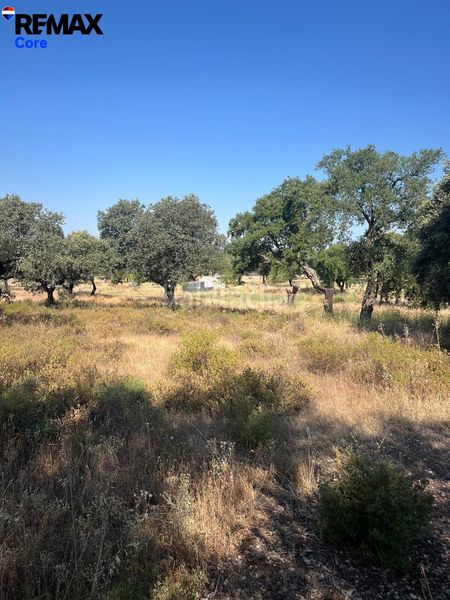 Foto 7d7688cf-ebe8-45d3-9959-ffb31b1121a0. Finca rústica a Las Vaguadas Badajoz