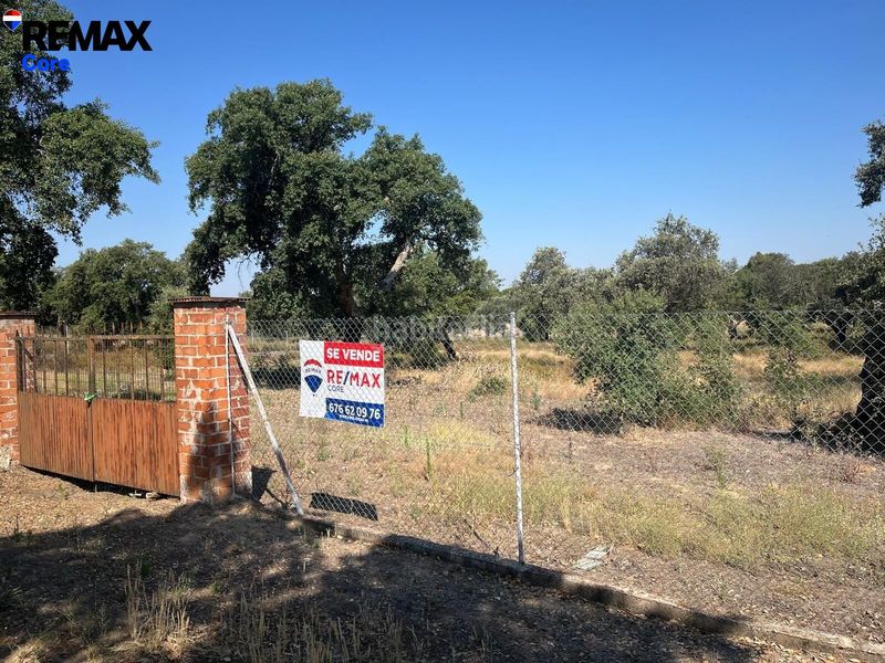 Foto a8310d87-b20b-4796-bc3f-d3c06219d129. Finca rústica a Las Vaguadas Badajoz