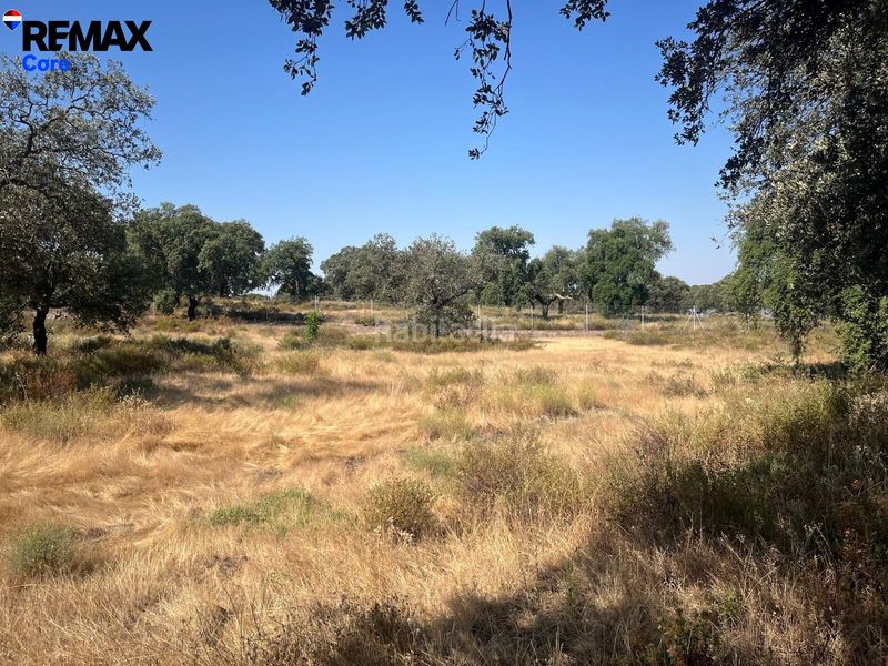 Foto ca78d6c0-b33d-49f6-bd49-0241755f88a9. Finca rústica a Las Vaguadas Badajoz