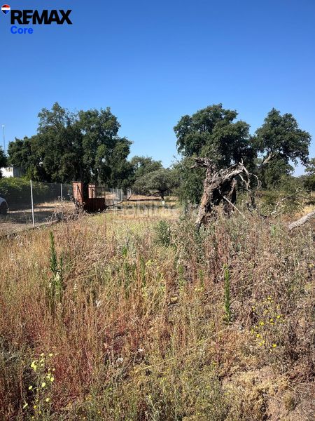 Foto caba4889-7dd7-496f-b369-126399f6990b. Finca rústica a Las Vaguadas Badajoz