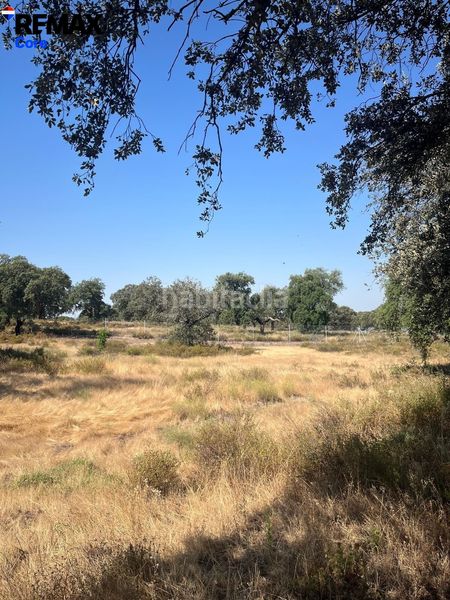 Foto d20a5140-c144-496a-8d27-a482c6a9e9f0. Finca rústica a Las Vaguadas Badajoz