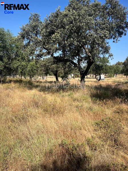 Foto d75f1f26-e877-40b5-b5e6-074c4d519311. Finca rústica a Las Vaguadas Badajoz