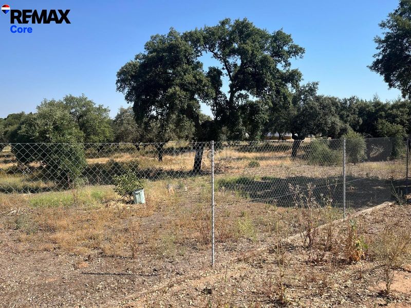 Foto d83fef83-83d0-4636-b5a9-115ac8f72e45. Finca rústica a Las Vaguadas Badajoz