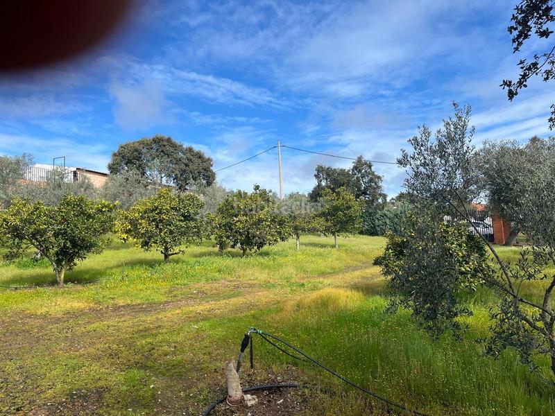 Foto ef571e79-d567-4033-bda9-8fa9ef1f6c50. Casa terreno con casa de campo en Dehesilla de Calamón - Campomanes Badajoz