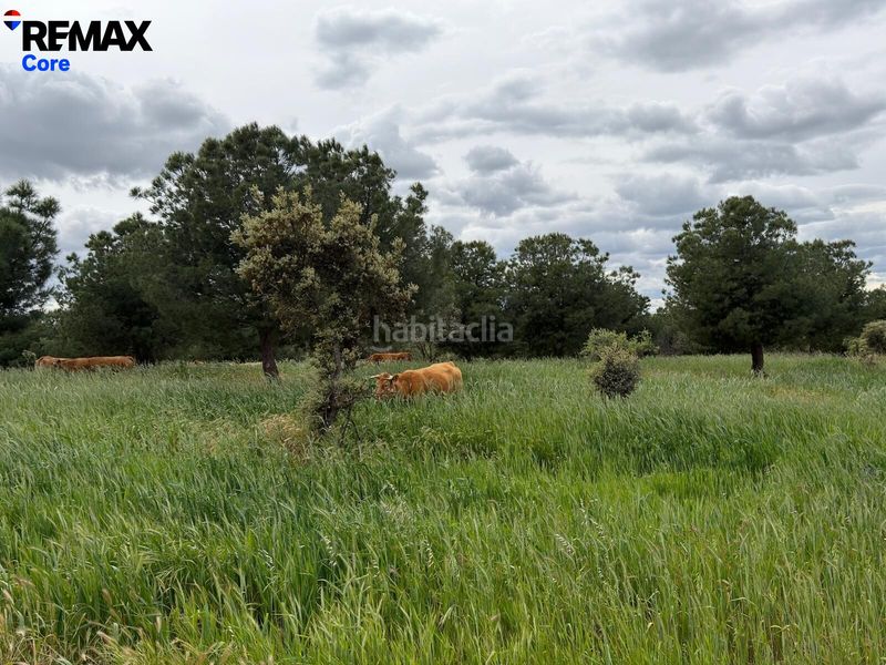 Foto 4b4b570d-ed16-4f75-b598-ea526e4465e6. Finca rústica a Valencia de las Torres
