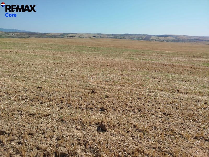 Foto 7c450b98-0fc1-4fa7-b94d-bdcbe16935d2. Finca rústica a Valencia de las Torres