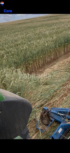 Foto a4333d19-fe5a-419a-bd27-1e0c0a0ff2e8. Finca rústica a Valencia de las Torres