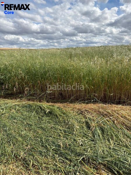 Foto c931d672-375a-46d9-891d-59eeff1dd2b5. Finca rústica a Valencia de las Torres