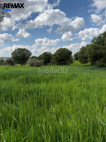 Foto d57e894e-7c51-454e-b145-62eba8a12d83. Finca rústica a Valencia de las Torres
