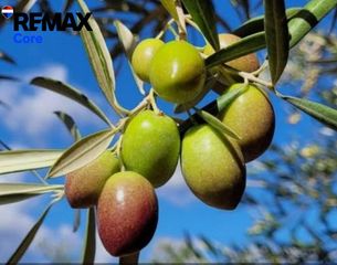 Finca rústica a Pedanías de Badajoz