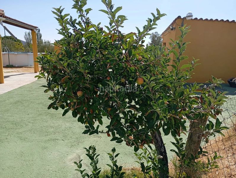 Foto 512acbab-7875-4fe1-a043-1fe489961aaa. Xalet amb aparcament piscina a Ceres Golf Cáceres